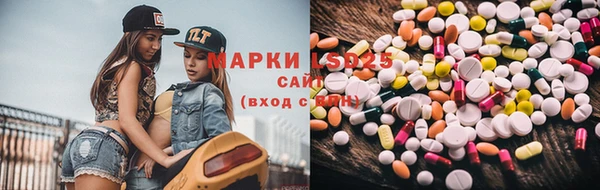 ГАЛЛЮЦИНОГЕННЫЕ ГРИБЫ Алексеевка