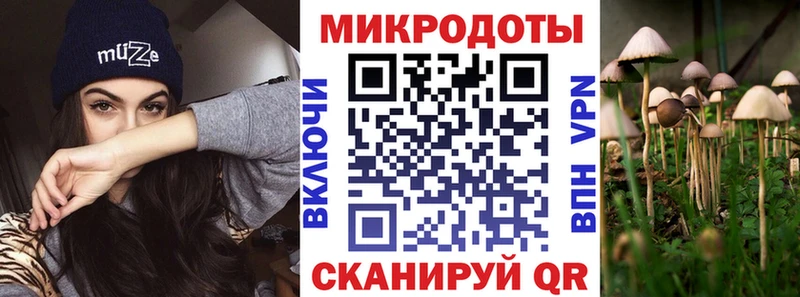 МЕГА как войти  Пугачёв  Галлюциногенные грибы Psilocybe 